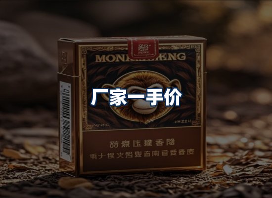 专业团队办公环境